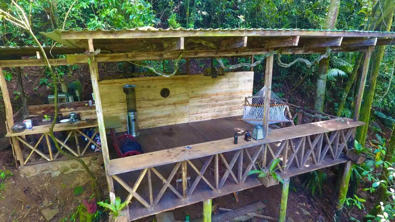 Ferienwohnung Sweet Jungle Quesada  Exterior foto
