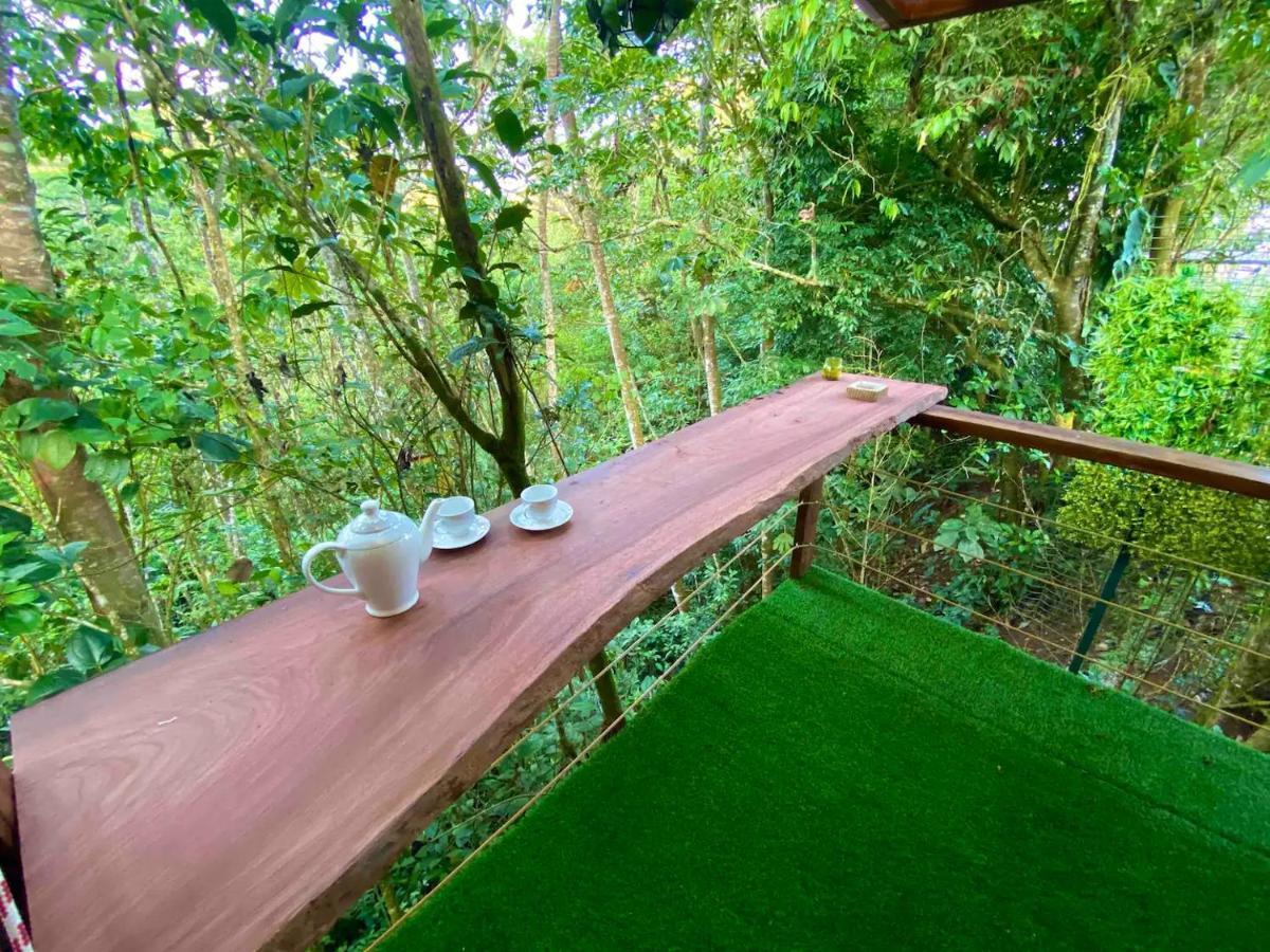 Ferienwohnung Sweet Jungle Quesada  Exterior foto